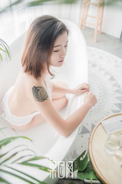 金瓶双艳 快播